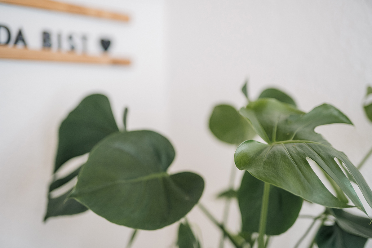 Studio 356 16 studio356-qf-20