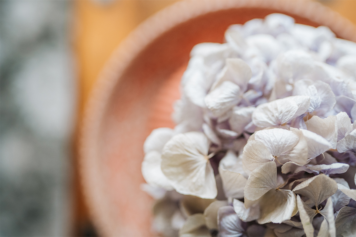 Studio 356 14 studio356-qf-21